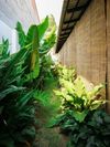 BANH CAM'S COUNTRY HOUSE - TAY NINH